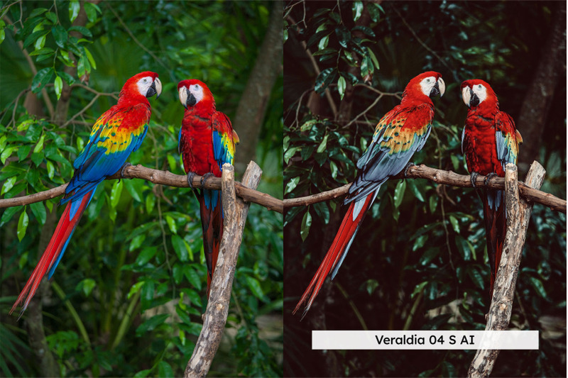 amazonia-lightroom-presets-and-luts