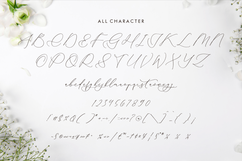 glofester-menditas-luxury-calligraphy-font