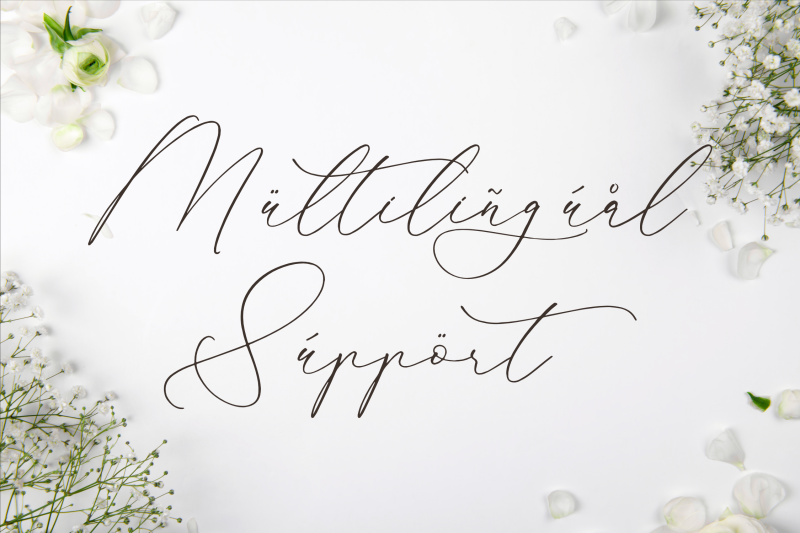 glofester-menditas-luxury-calligraphy-font