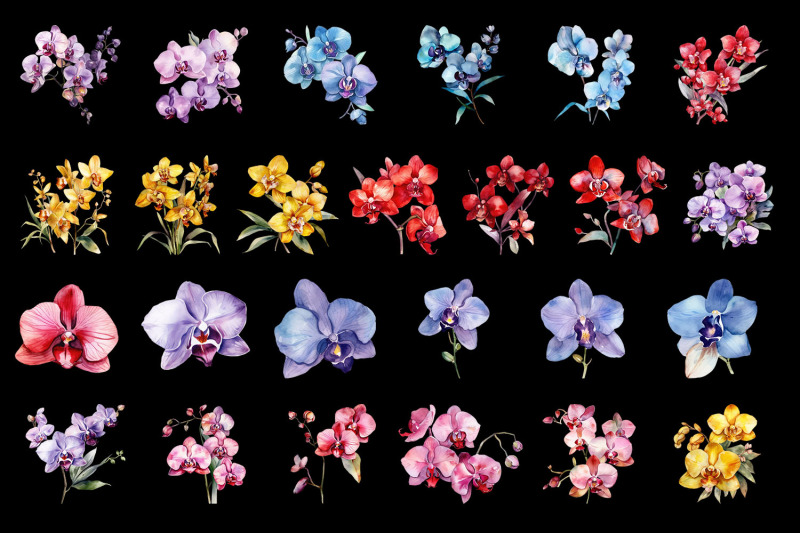 orchids-watercolor-clipart-collection-bundle