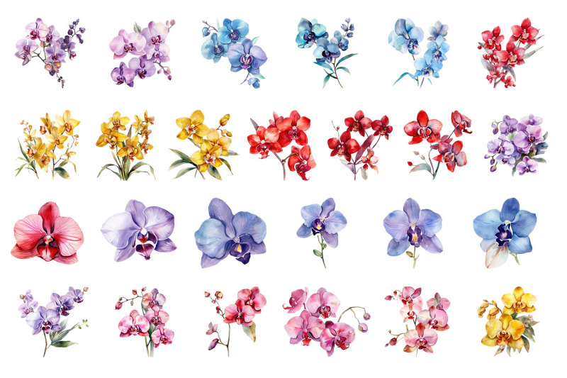 orchids-watercolor-clipart-collection-bundle