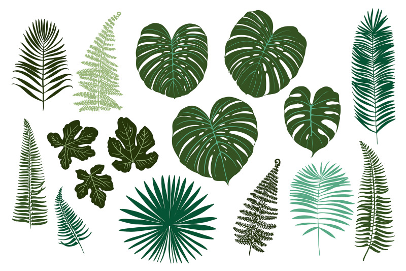 vector-tropical-green-leaves