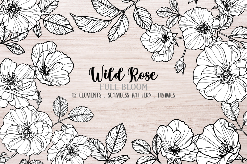 vector-wild-rose-clipart-black-and-white-rosehip-clip-art-dogrose