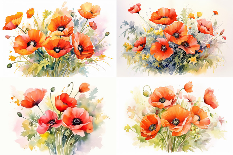 poppy-floral-delights-watercolor-collection