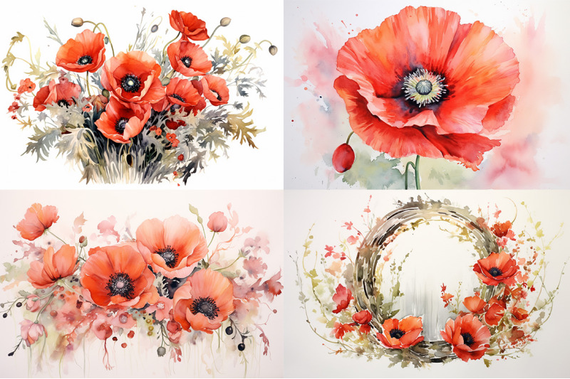 poppy-floral-delights-watercolor-collection