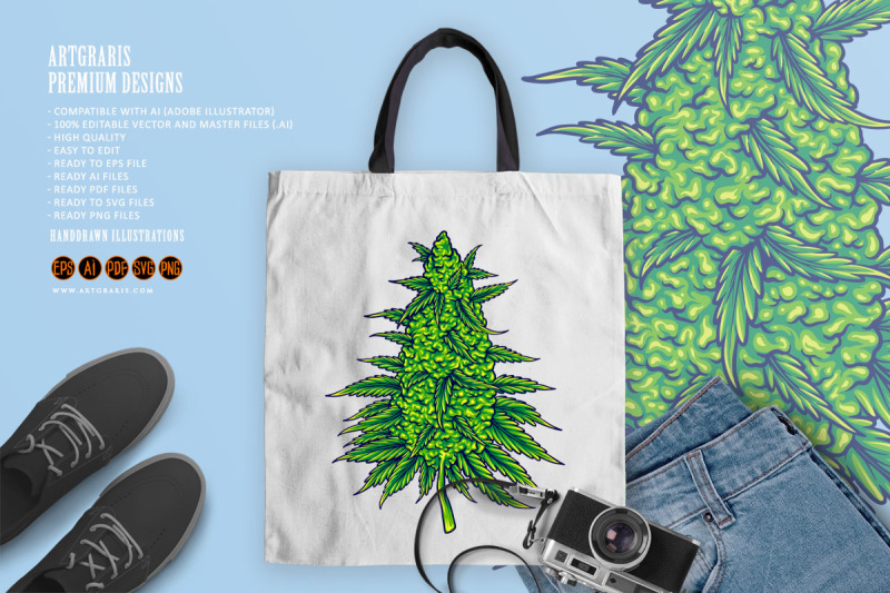 cannabis-sativa-strains-botanical-hemp-buds-illustrations