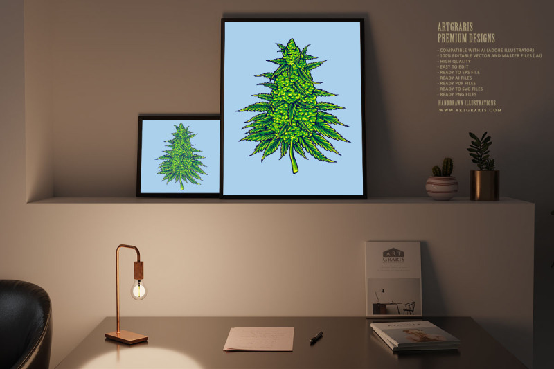 cannabis-sativa-strains-botanical-hemp-buds-illustrations