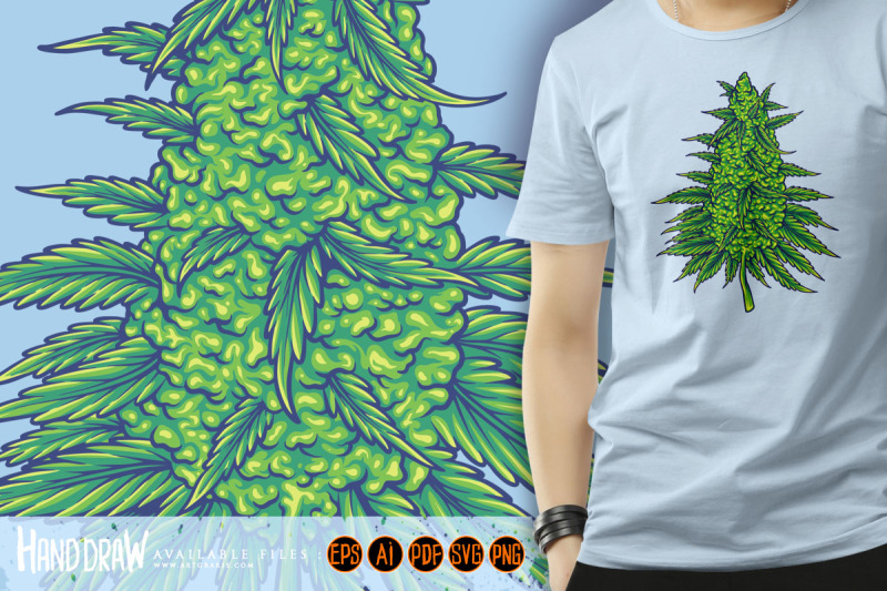 cannabis-sativa-strains-botanical-hemp-buds-illustrations