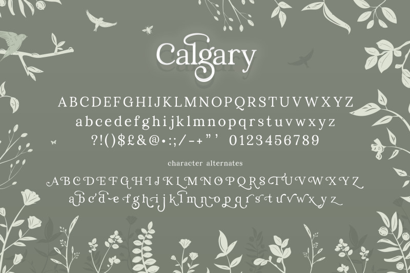 calgary-serif-serif-fonts-beautiful-fonts-classic-fonts