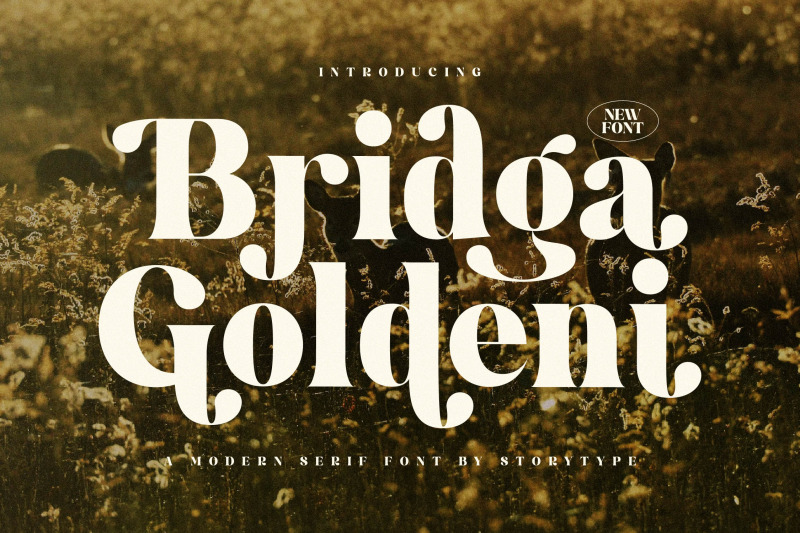 bridga-goldeni-typeface