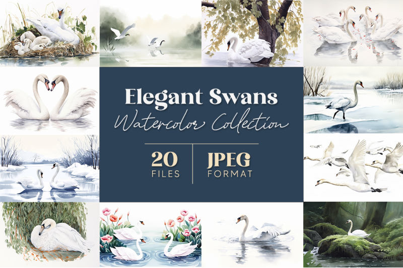 elegant-swans-watercolor-collection