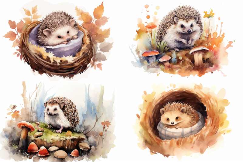 adorable-hedgehogs-watercolor-collection