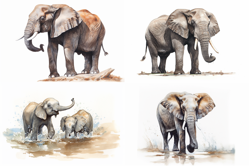 majestic-elephants-watercolor-collection