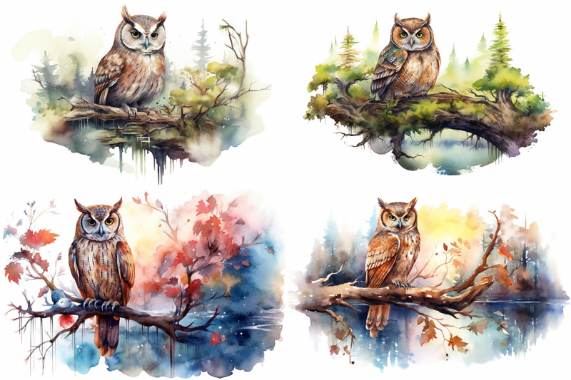 whimsical-owls-watercolor-collection