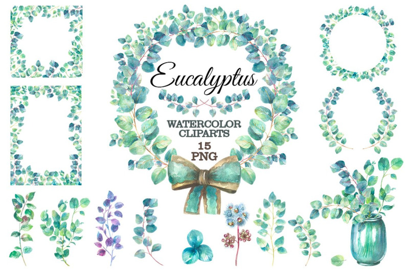 eucalyptus-watercolor-clipart