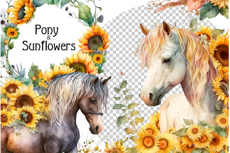 pony-and-sunflowers