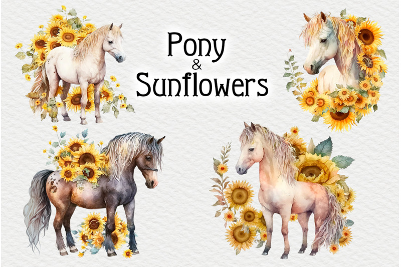 pony-and-sunflowers