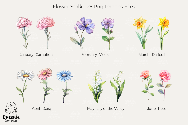 birth-flowers-birthday-month-flower-head-watercolor-png