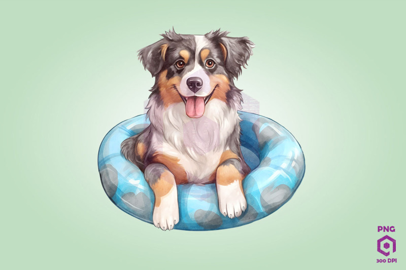 australian-shepherd-wearing-swim-float