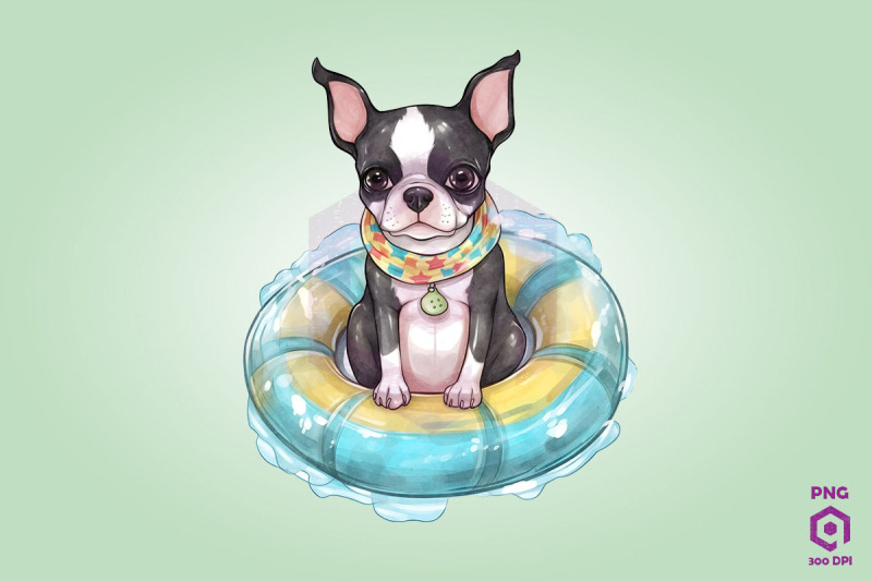 boston-terrier-wearing-swim-float