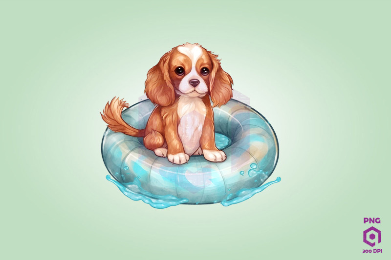 king-charles-spaniel-wearing-swim-float