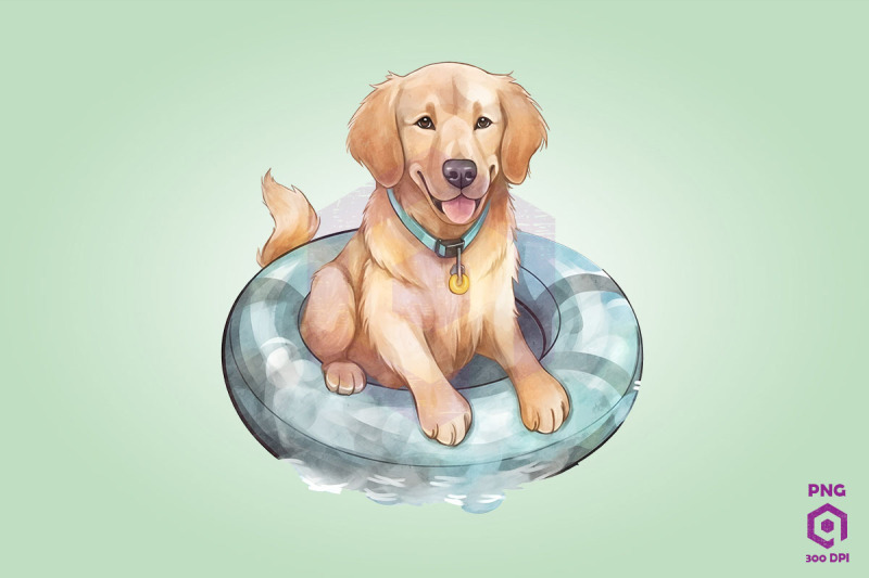 golden-retriever-wearing-swim-float