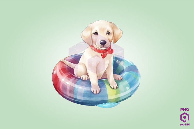 labrador-retriever-wearing-swim-float