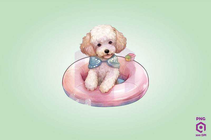 poodle-wearing-swim-float