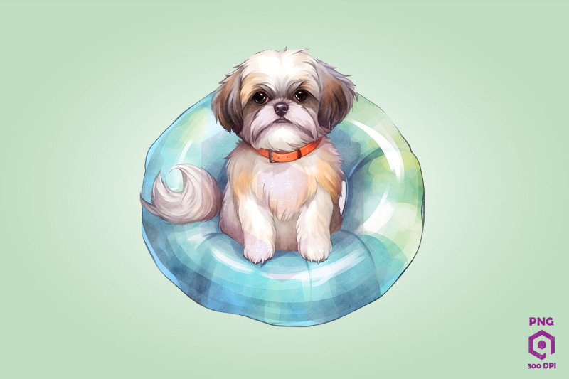 shih-tzu-wearing-swim-float