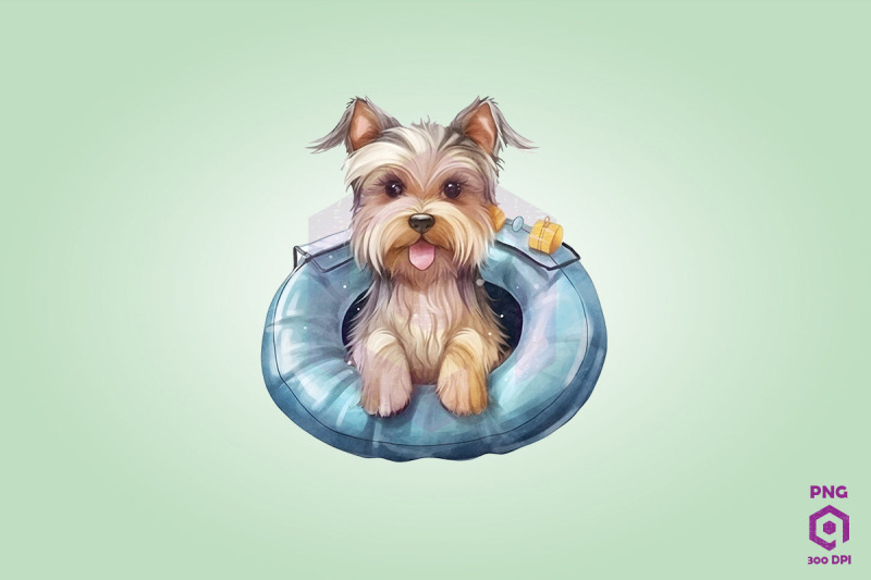 yorkshire-terrier-wearing-swim-float