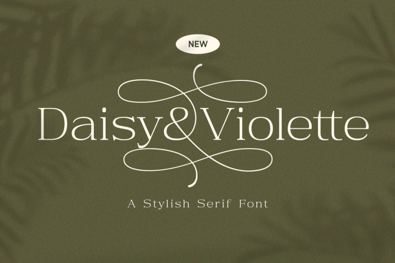 daisy-amp-violette-stylish-modern-serif
