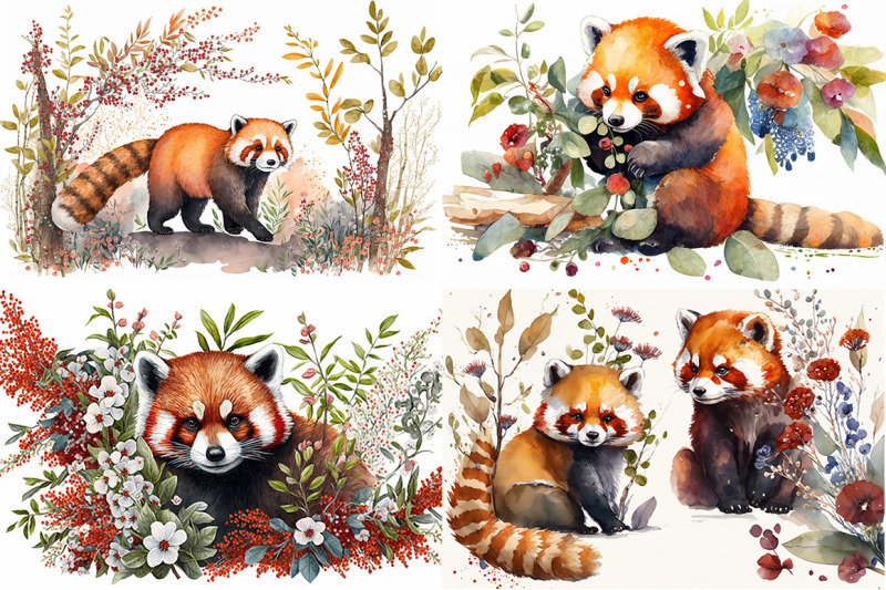 captivating-red-panda-watercolor-collection