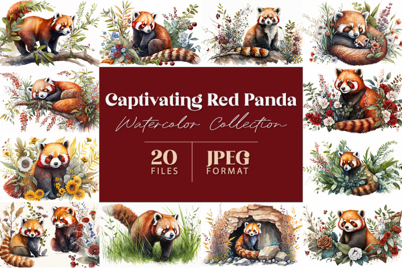 captivating-red-panda-watercolor-collection