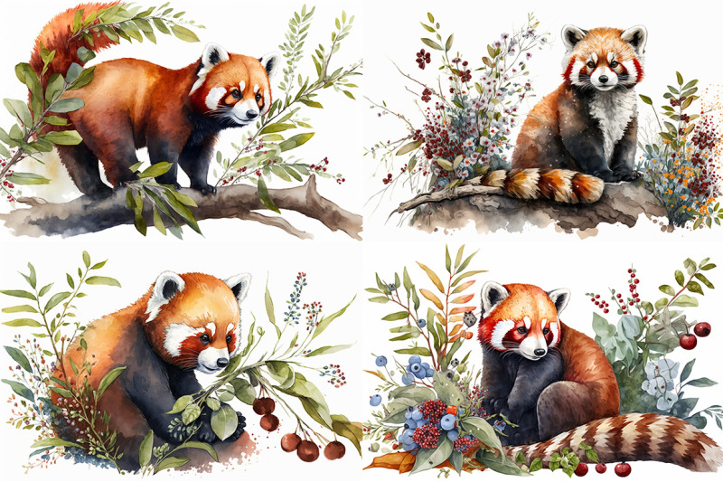 captivating-red-panda-watercolor-collection