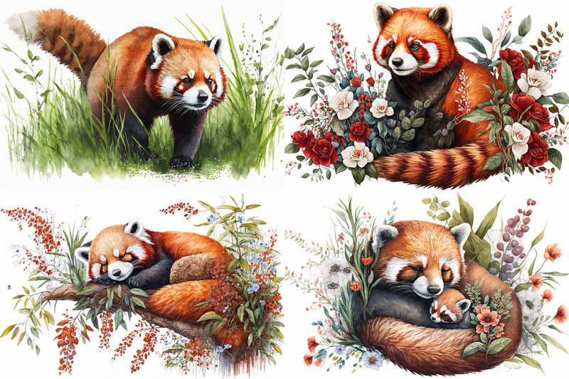 captivating-red-panda-watercolor-collection