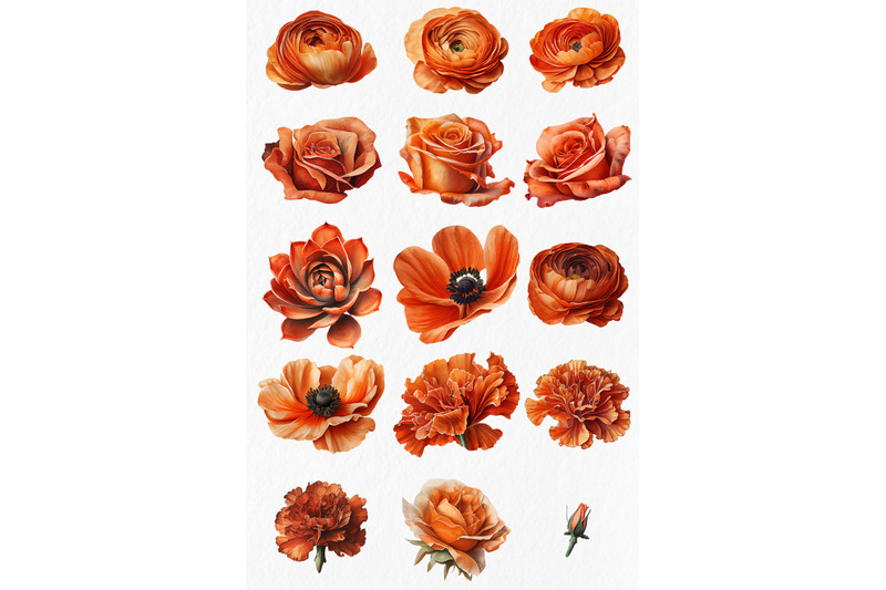 burnt-orange-flower-watercolor-clipart-png-fall-floral-wedding