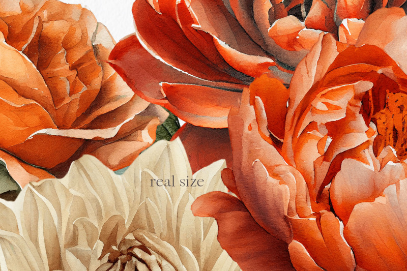 burnt-orange-flower-watercolor-clipart-png-fall-floral-wedding