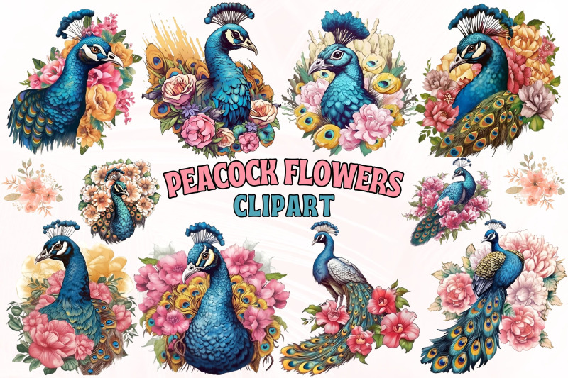 peacock-flowers-clipart