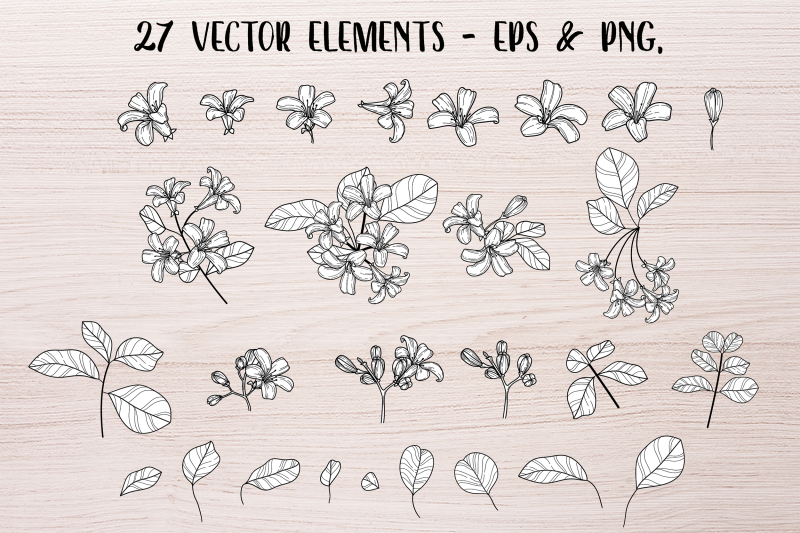 vector-vintage-jasmine-clipart-black-and-white-flower-clip-art-vint