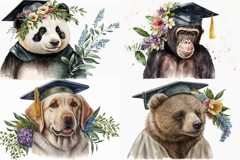 graduation-animals-watercolor-collection