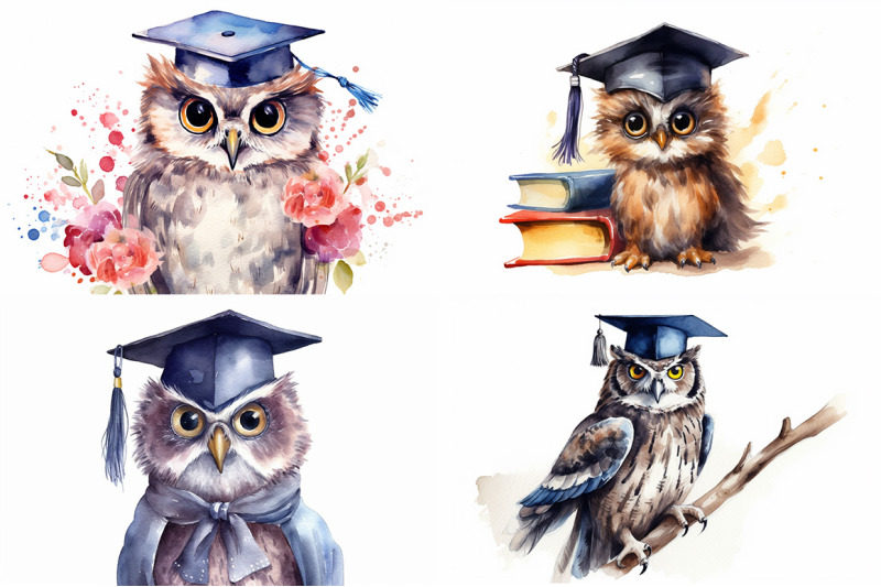 graduation-owls-watercolor-collection