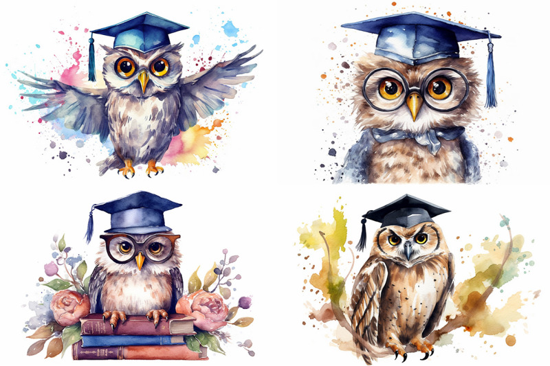 graduation-owls-watercolor-collection