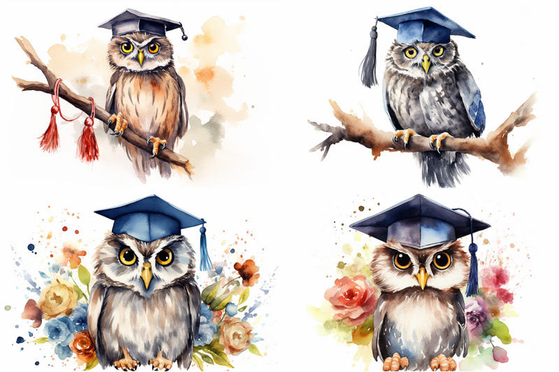 graduation-owls-watercolor-collection