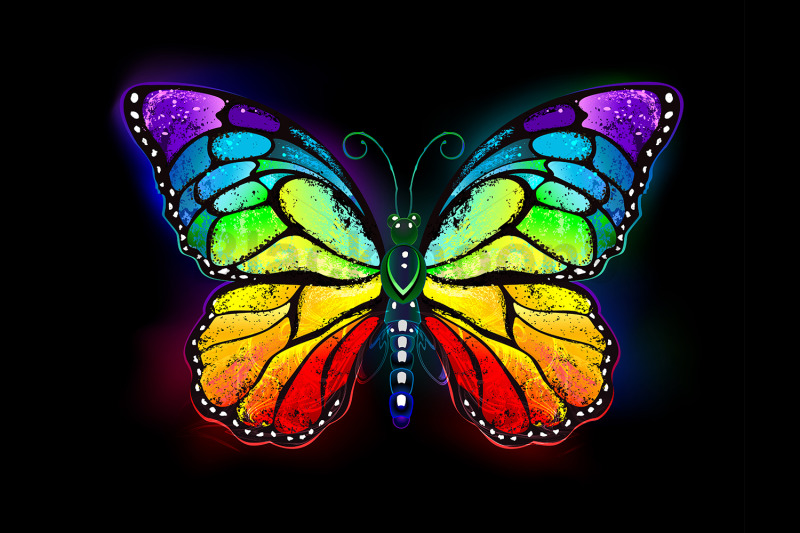 rainbow-luminous-butterfly