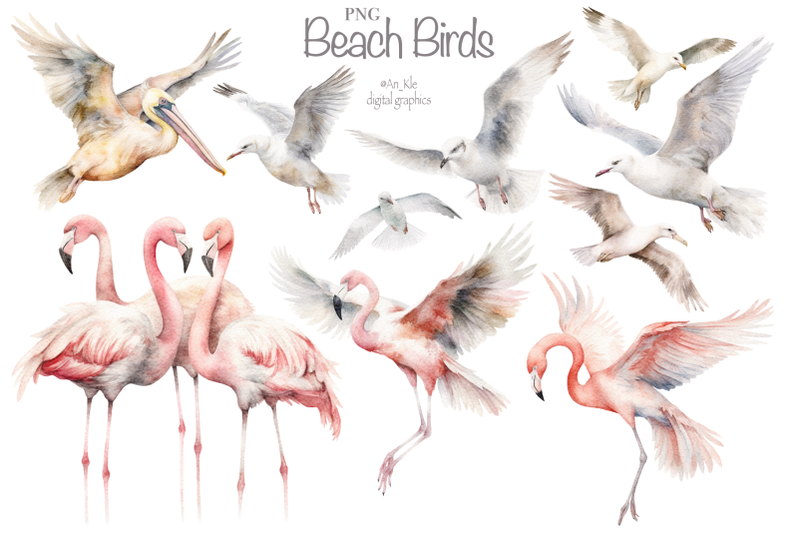 coastal-birds-watercolor-clipart