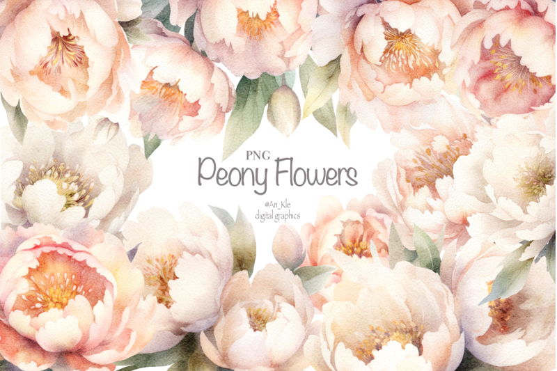 peony-flowers-clipart