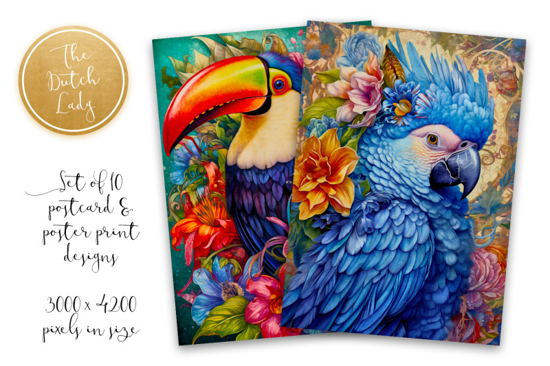 tropical-birds-postcards-amp-art-prints