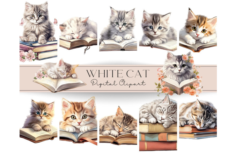 cute-cats-clipart-with-books-12-png-files