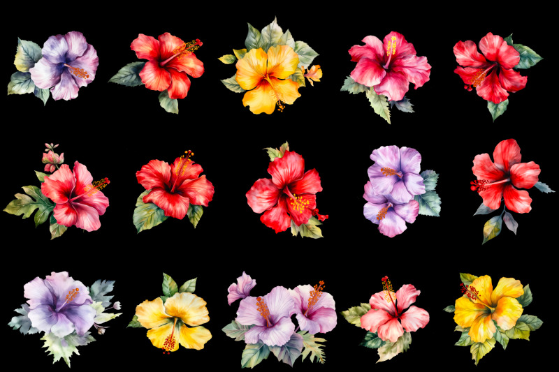 hibiscus-watercolor-clipart-collection-bundle