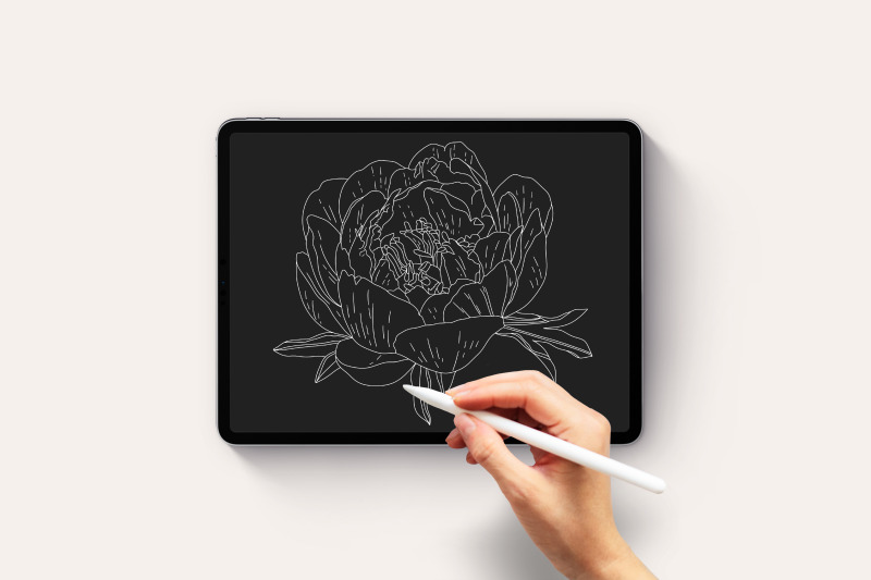 25-detailed-peony-stamps-procreate